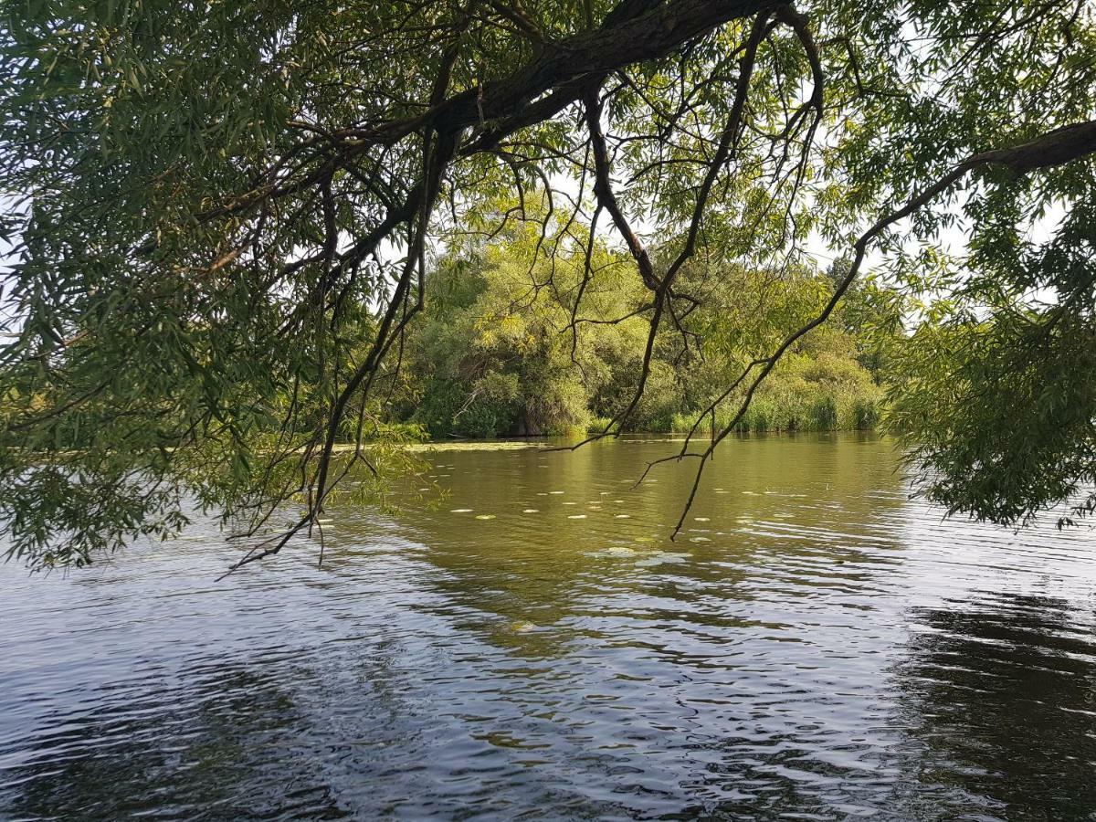Ferienwohnung Havelblick كيتسين المظهر الخارجي الصورة